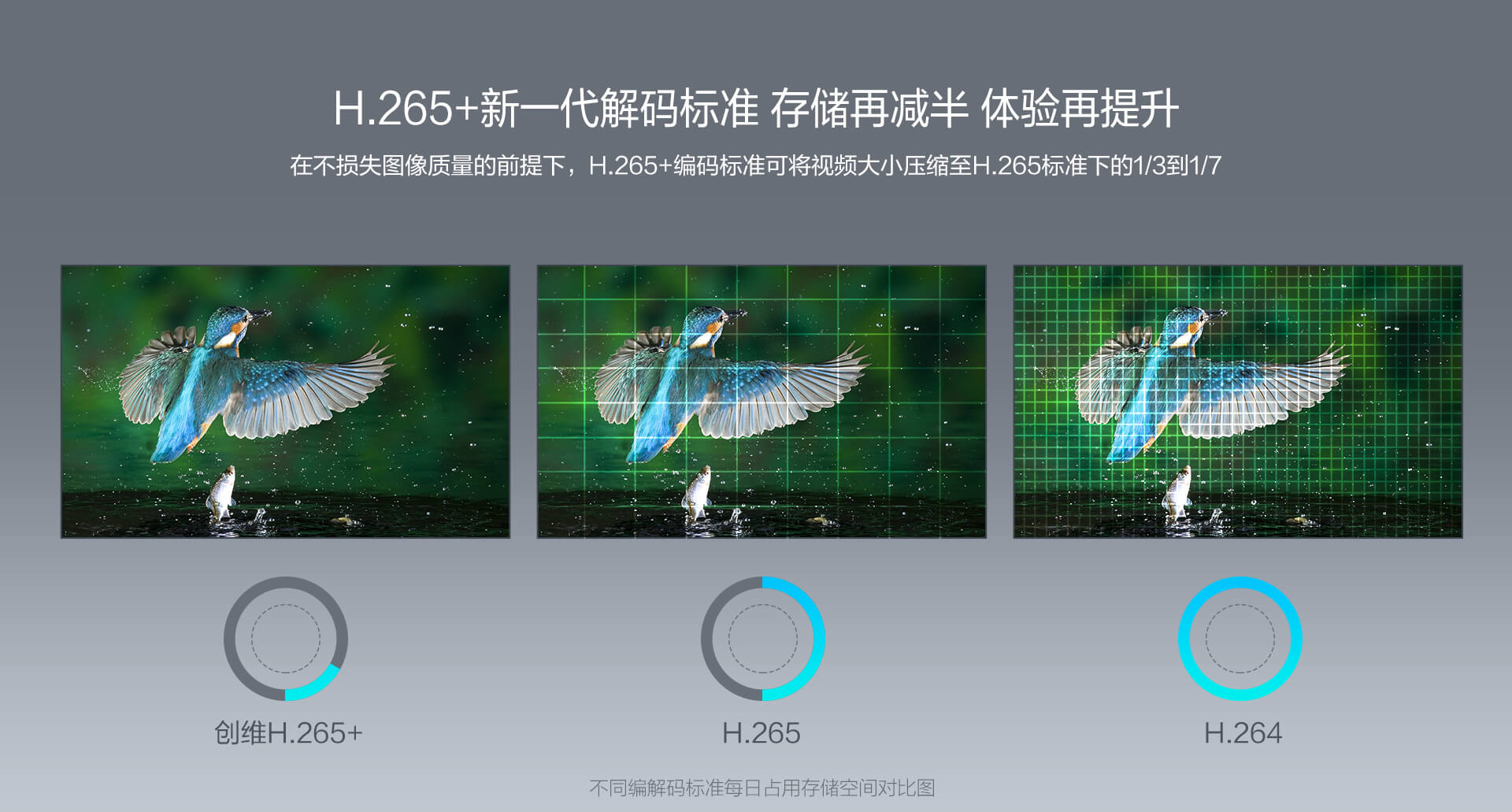 1571062306826102.jpg NVR1920_04(1).jpg